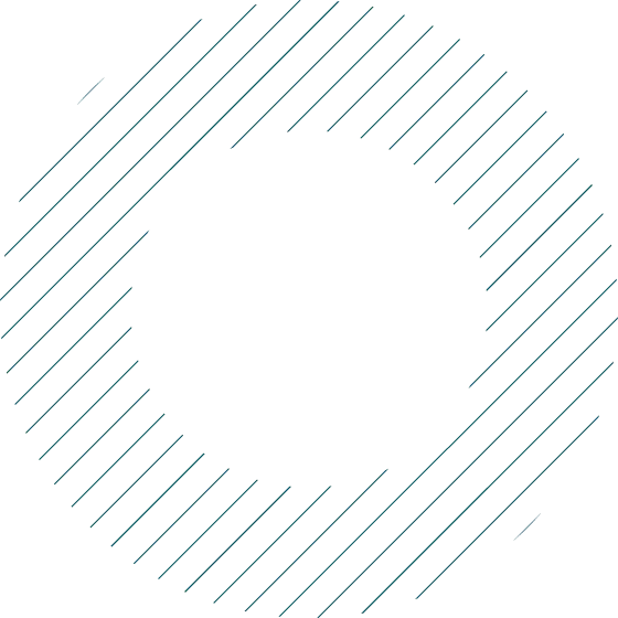 Inovexa Motion - The Evolution of Inovexa Motion